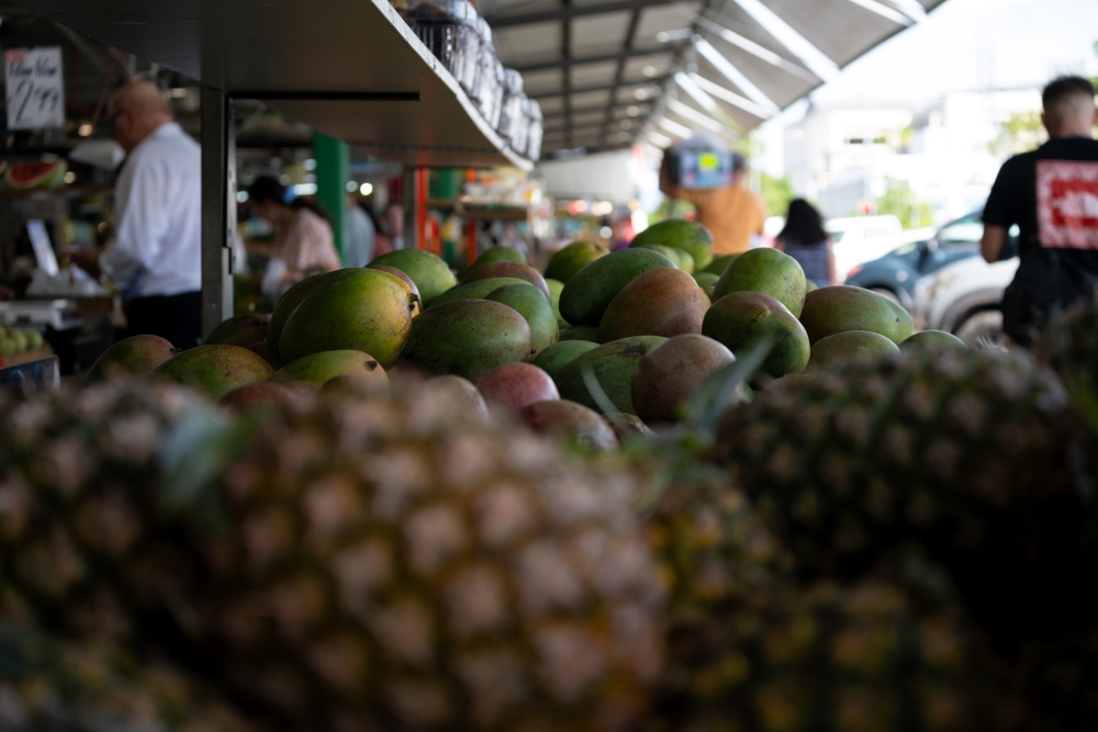 Photo taken by TAMRON Ultra-telephoto Zoom lens