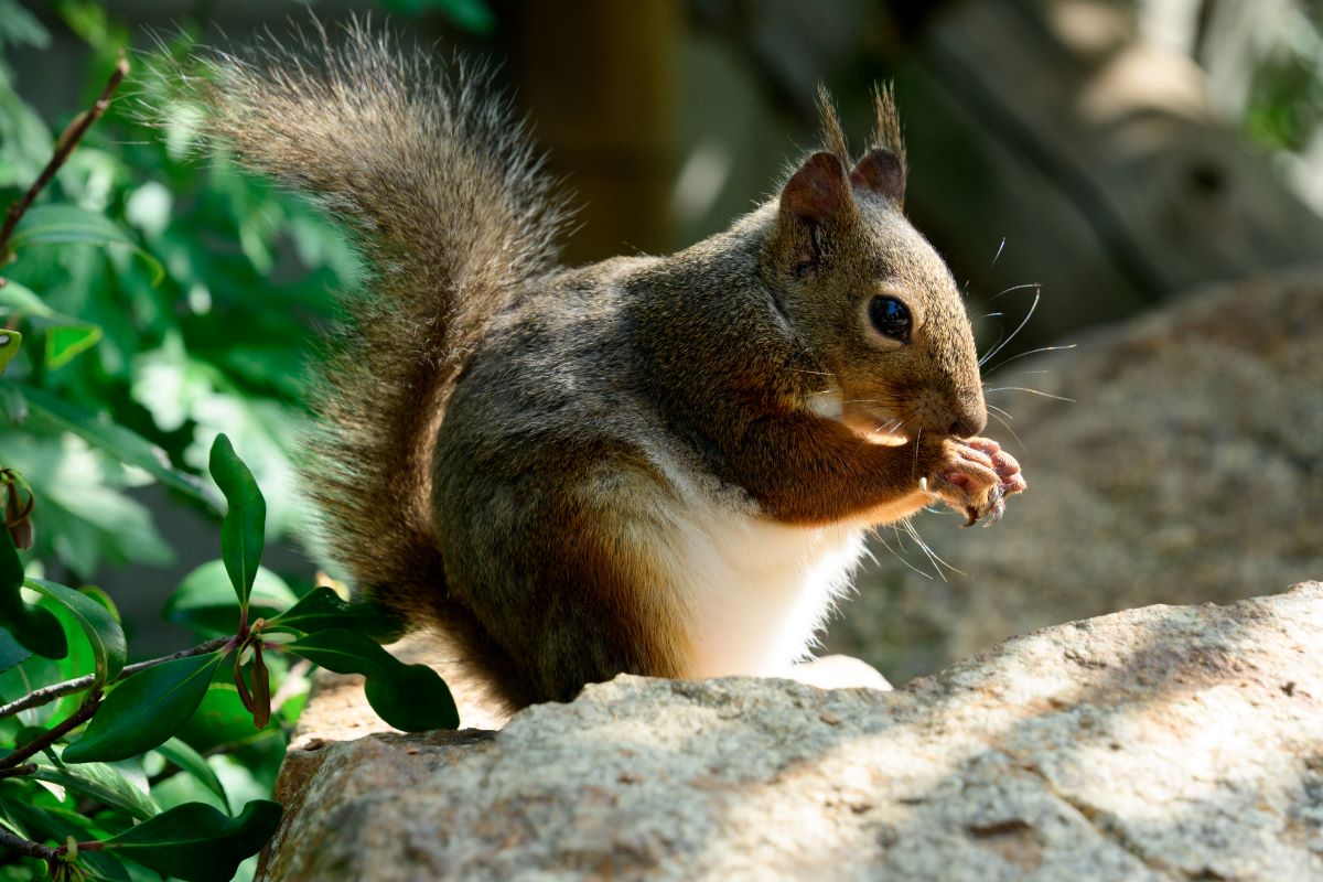 Photo taken by TAMRON All-in-one Zoom lens