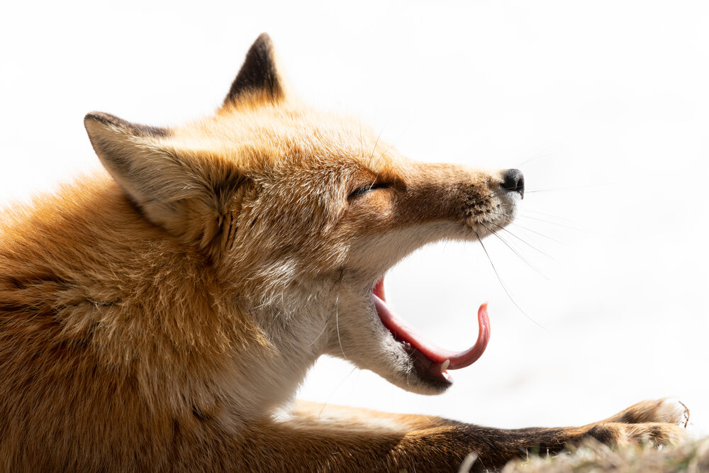  Photo taken by TAMRON Ultra-telephoto Zoom lens 