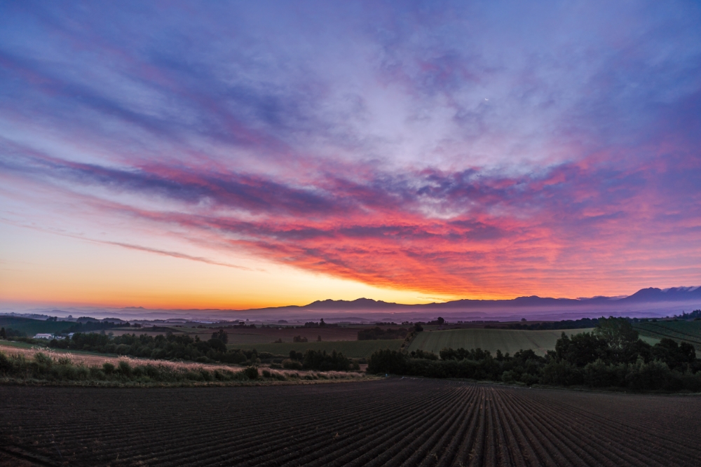  Photo taken by TAMRON Fixed Focal lens