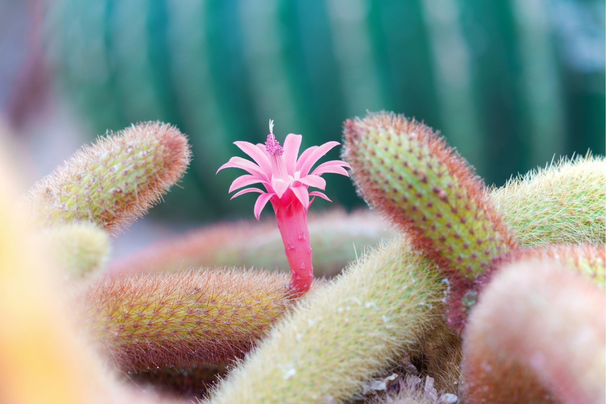 TAMRON28-200mm F2.8-5.6 (Model A071)　Focal length: 200mm　Exposure: F5.6　Shutter Speed: 1/15sec　ISO: 100