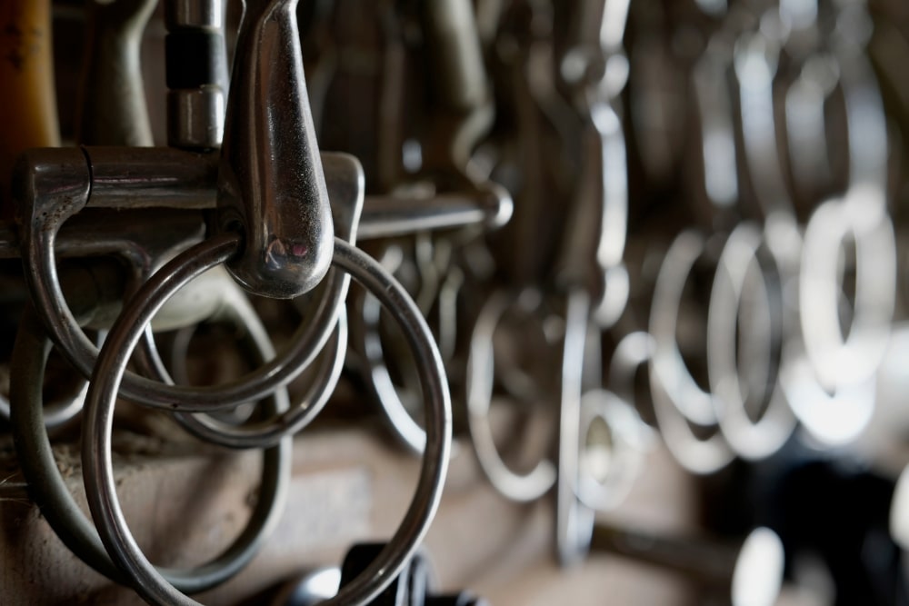 TAMRON 70-180mm F2.8 G2 (Model  A065)　Focal length：70mm　Exposure：F4.5　Shutter speed：1/8sec.　ISO：100