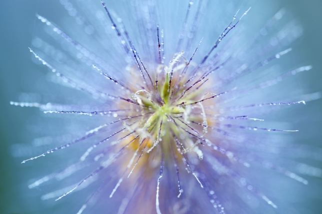 Lens used: Model F017<br>Focal length: 90mm<br>Exposure: F4 1/125 sec