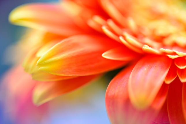 Lens used: Model F017<br>Focal length: 90mm<br>Exposure: F5.6 1/3 sec