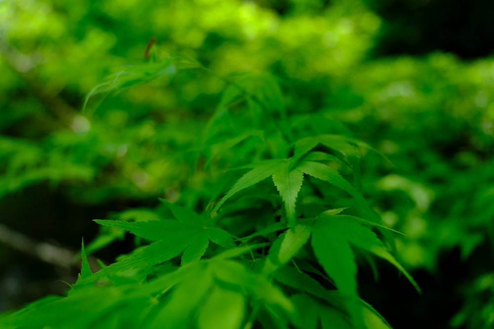 TAMRON 17-70mm F2.8 (Model B070)　Focal length：17mm　Exposure：F2.8　Shutter speed：1/640sec　ISO：160