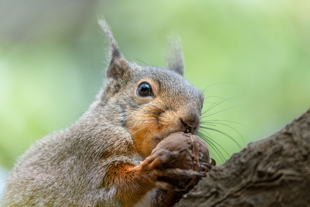 TAMRON 50-400mm F4.5-6.3 (Model A067)　Focal length：400mm　Exposure：F6.3　Shutter speed：1/640sec　ISO：640