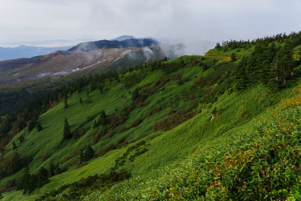 TAMRON 28-75mm F2.8 G2 (Model A063)　Focal length：28mm　Exposure：F2.8　Shutter speed：1/1000sec　ISO：100