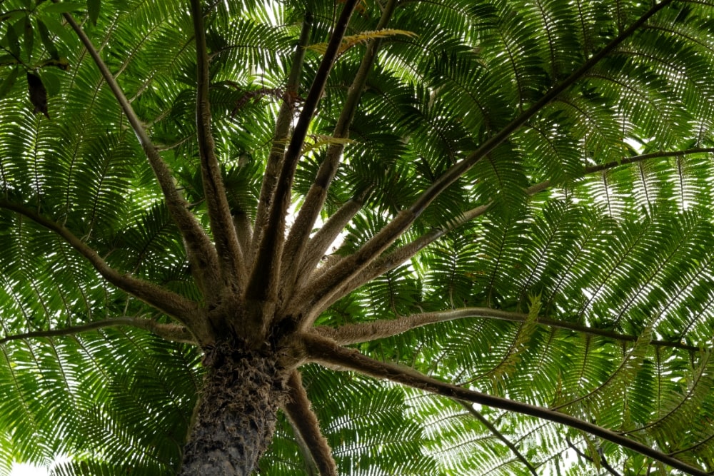 TAMRON 50-300mm F4.5-6.3 (Model A069)　Focal length：130mm　Exposure：F8　Shutter speed：1/60sec　ISO：800